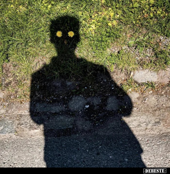  - Lustige Bilder | DEBESTE.de