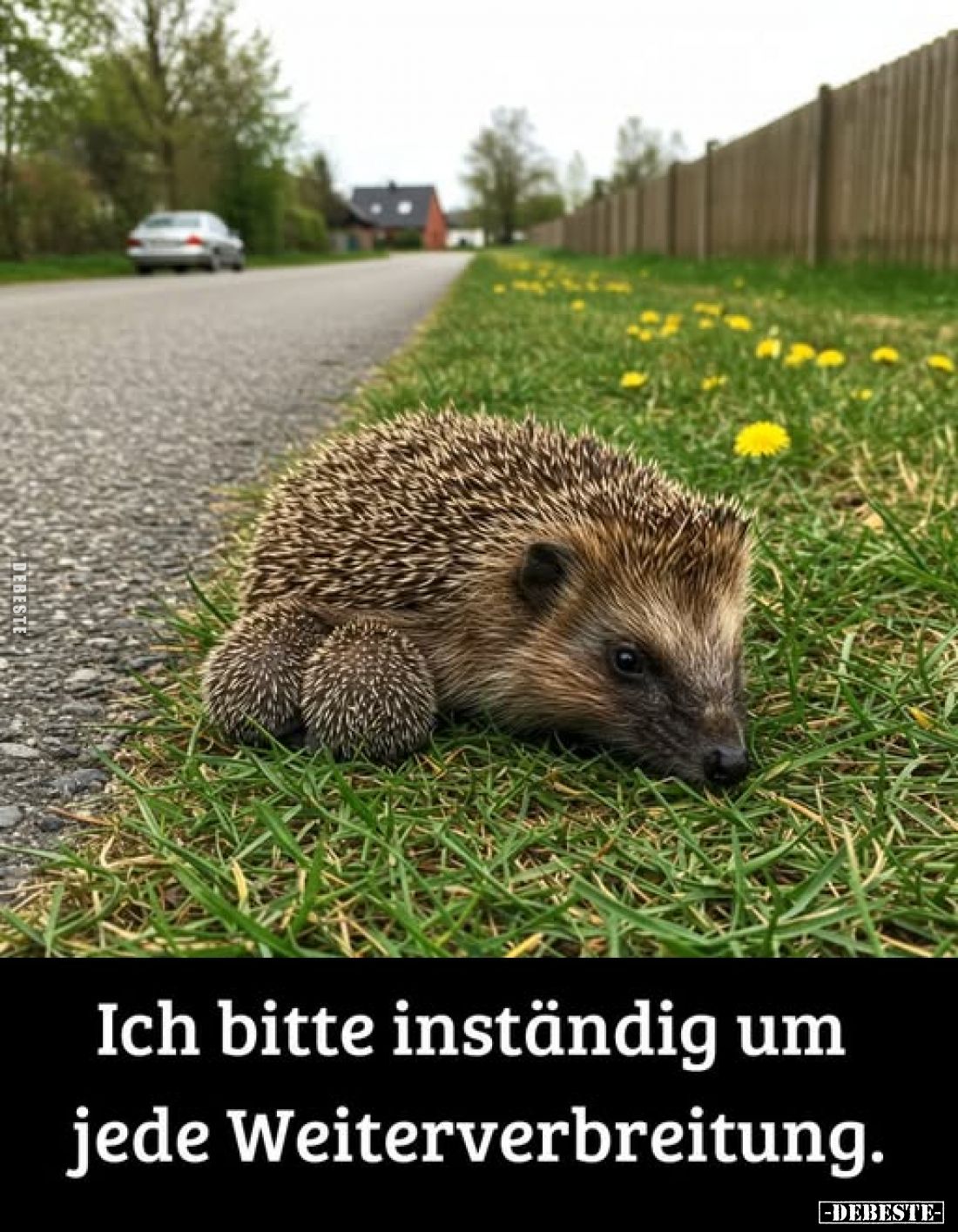 Ich bitte inständig um jede Weiterverbreitung.