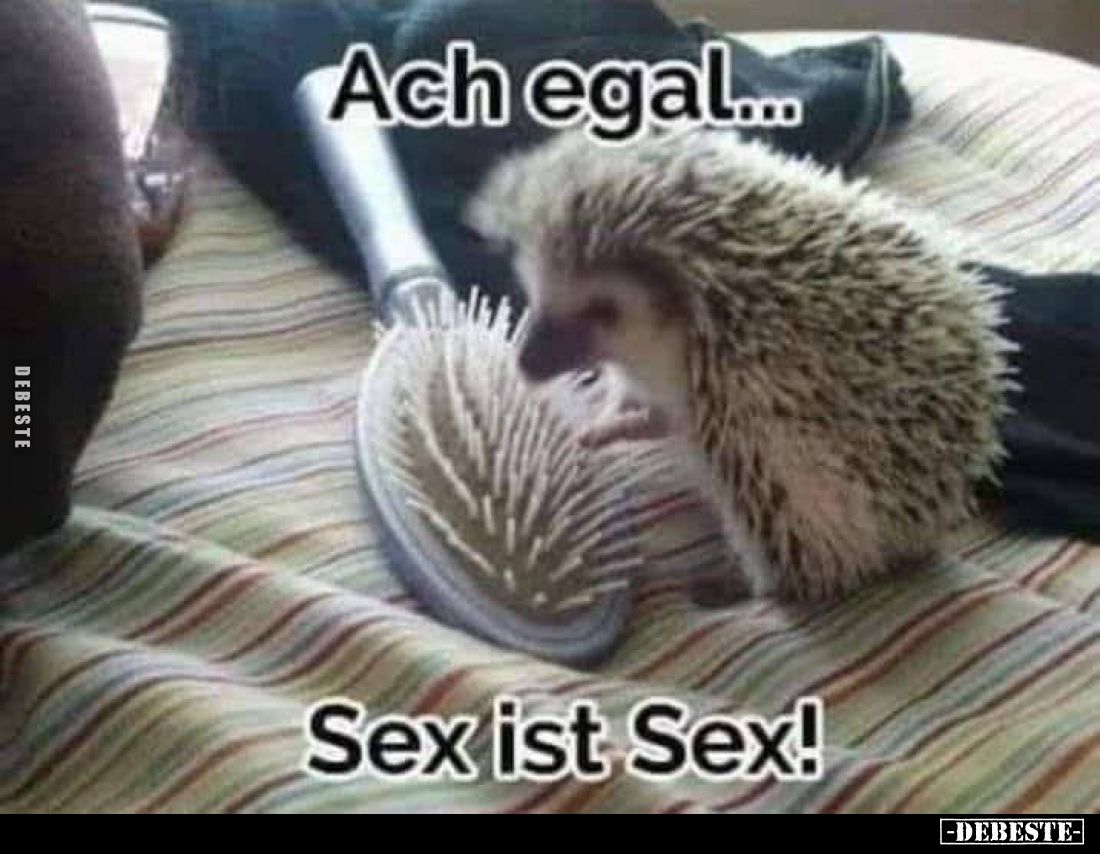 Ach egal...
Sex ist Sex!