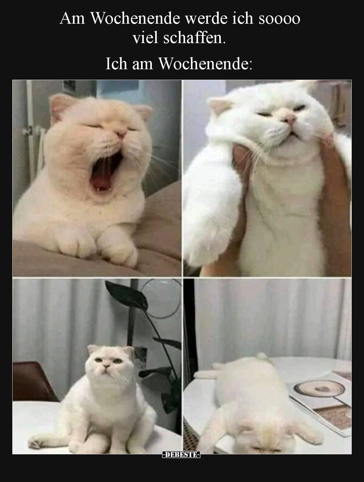Am Wochenende werde ich soooo viel schaffen. Ich am Wochenende: