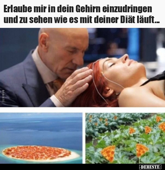 Erlaube mir in dein Gehirn einzudringen und zu sehen wie es..
