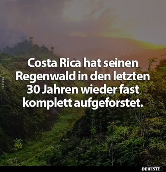 Costa Rica hat seinen Regenwald in den letzten 30 Jahren.. - Lustige Bilder | DEBESTE.de