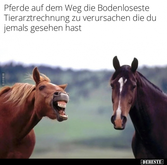 Pferde auf dem Weg die Bodenloseste Tierarztrechnung zu.. - Lustige Bilder | DEBESTE.de