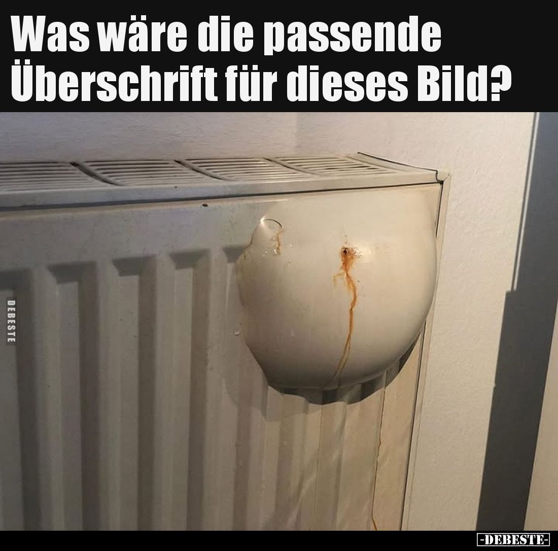 Was wäre die passende Überschrift für dieses Bild?
