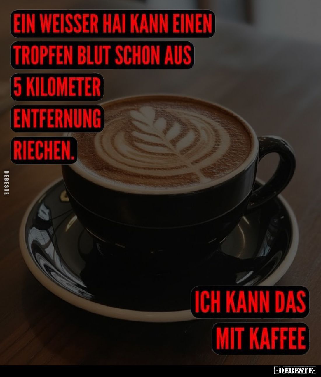 Ein weißer Hai kann einen Tropfen Blut schon aus 5 Kilometer Entfernung riechen.
Ich kann das mit Kaffee.