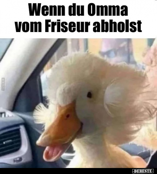 Wenn du Oma vom Friseur abholst... - Lustige Bilder | DEBESTE.de