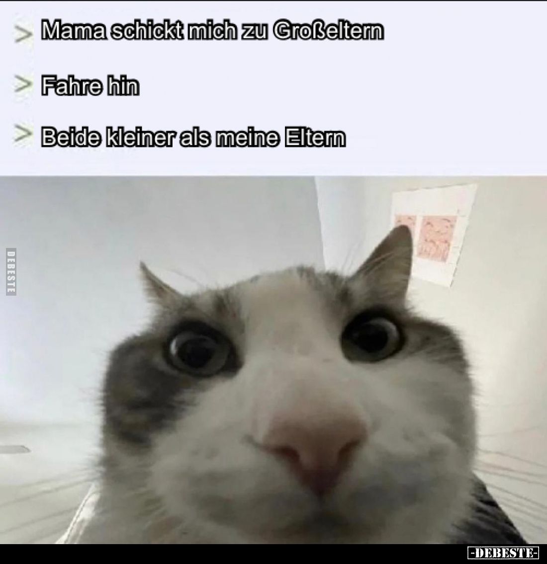 Mama schickt mich zu Großeltern. -
Fahre hin. -
Beide kleiner als meine Eltern.