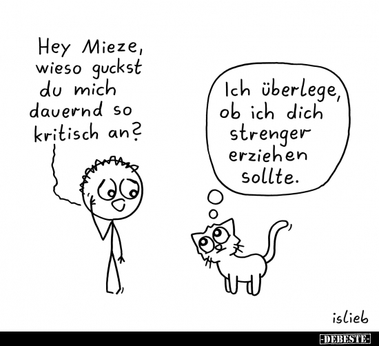 Hey Mieze, wieso guckst du mich dauernd so kritisch an?.. - Lustige Bilder | DEBESTE.de