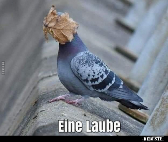 Eine Laube