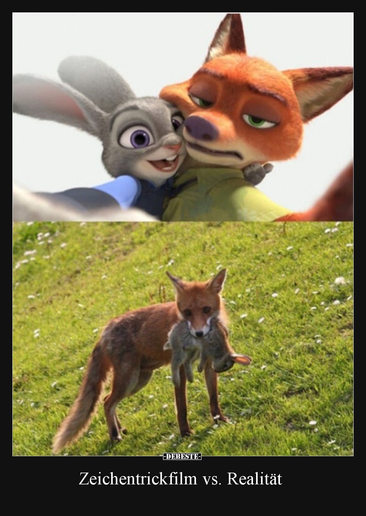 Zeichentrickfilm vs. Realität