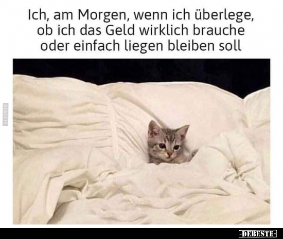 Ich, am Morgen, wenn ich überlege.. - Lustige Bilder | DEBESTE.de