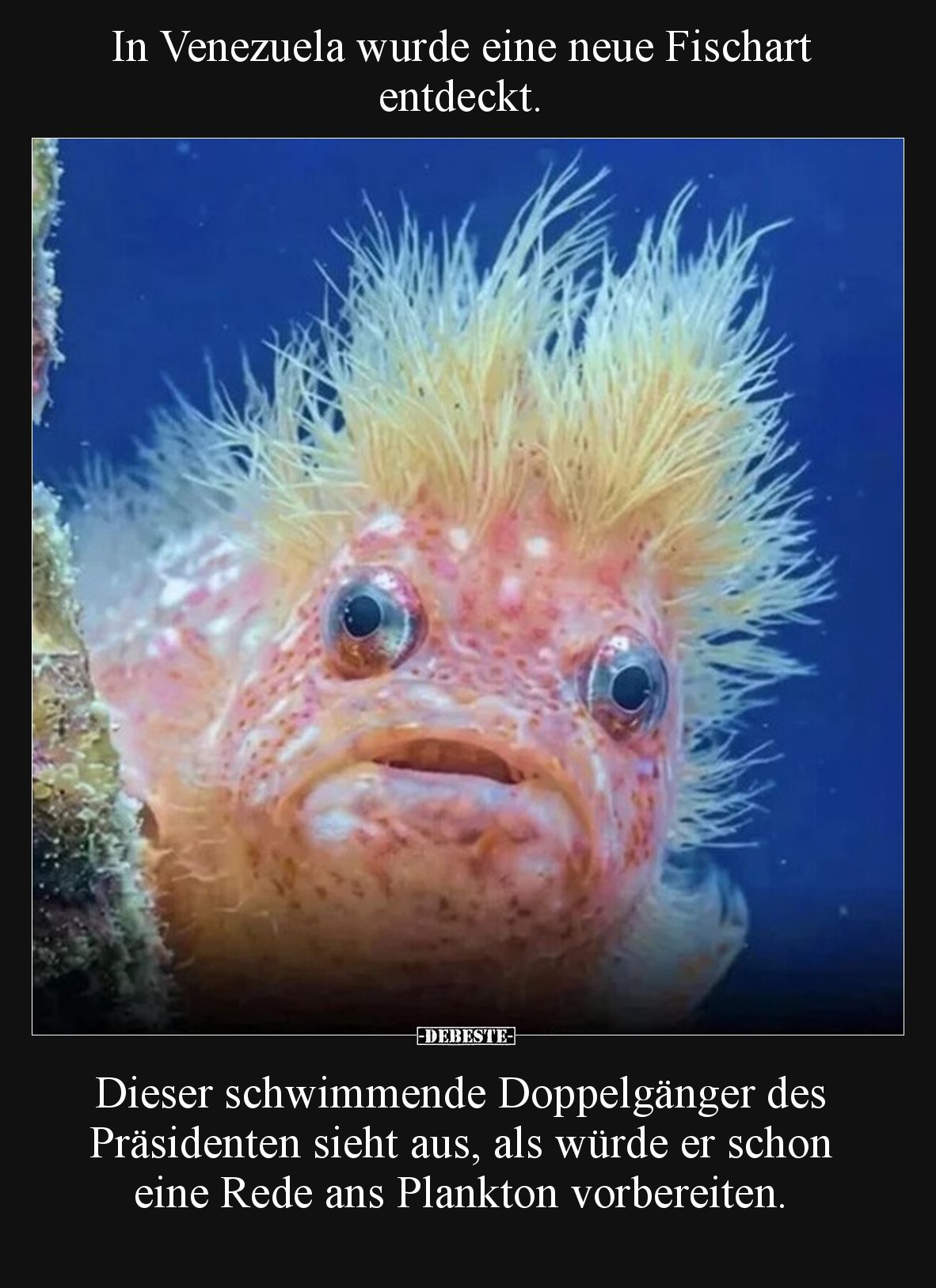 In Venezuela wurde eine neue Fischart entdeckt... - Lustige Bilder | DEBESTE.de