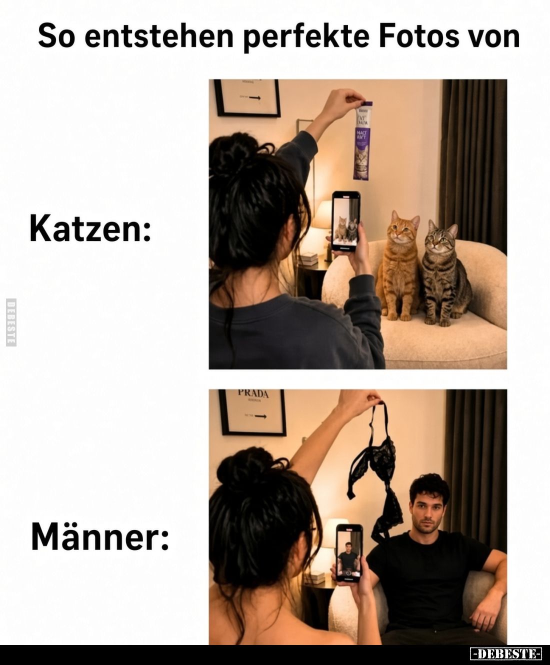 So entstehen perfekte Fotos von - 
Katzen: - Männer: