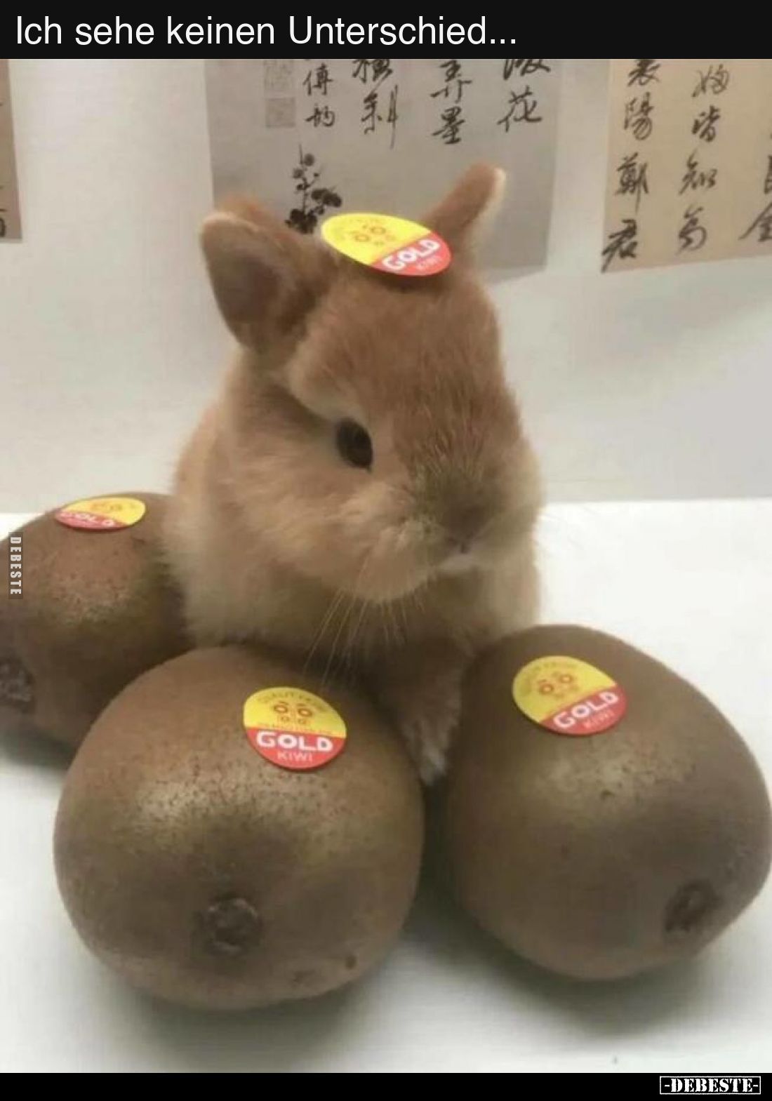 Ich sehe keinen Unterschied...