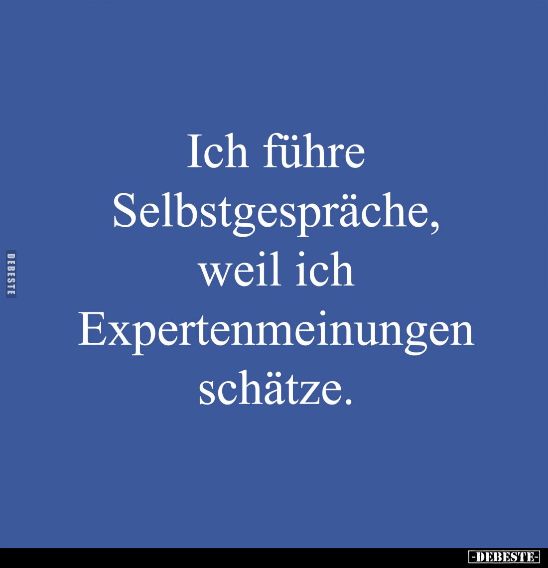 Ich führe Selbstgespräche, weil ich Expertenmeinungen schätze.