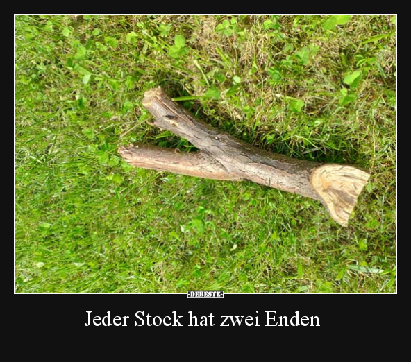 Jeder Stock hat zwei Enden