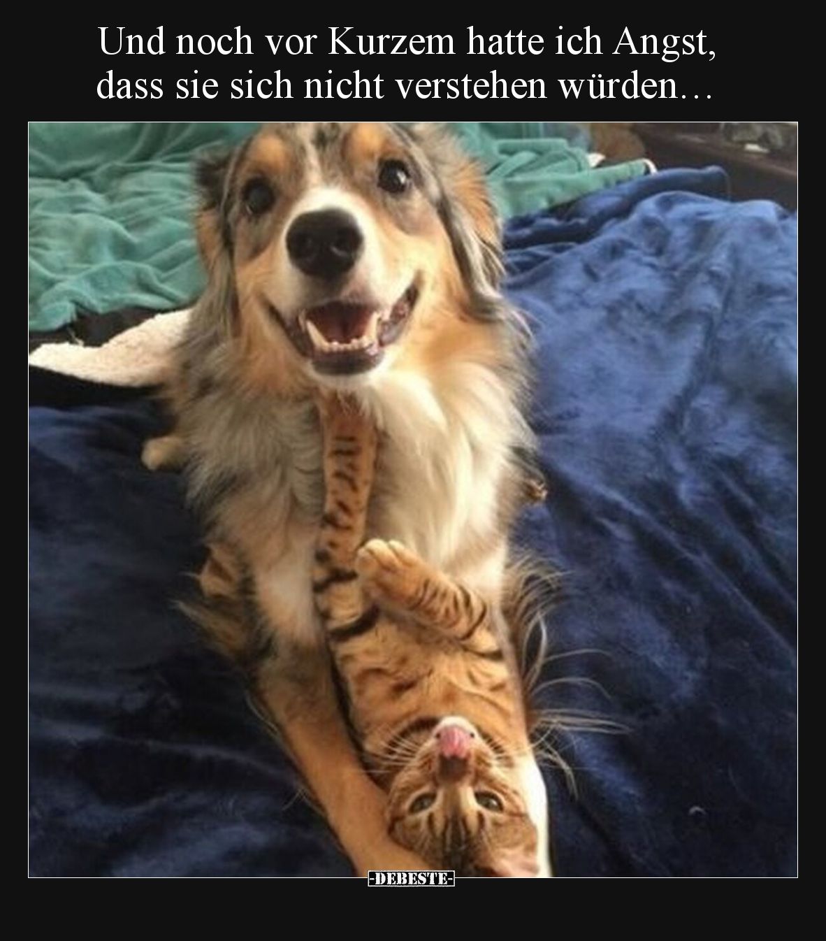 Und noch vor Kurzem hatte ich Angst, dass sie sich nicht verstehen würden…