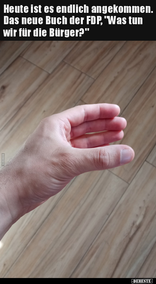 Heute ist es endlich angekommen. Das neue Buch der FDP, "Was tun wir für die Bürger?"