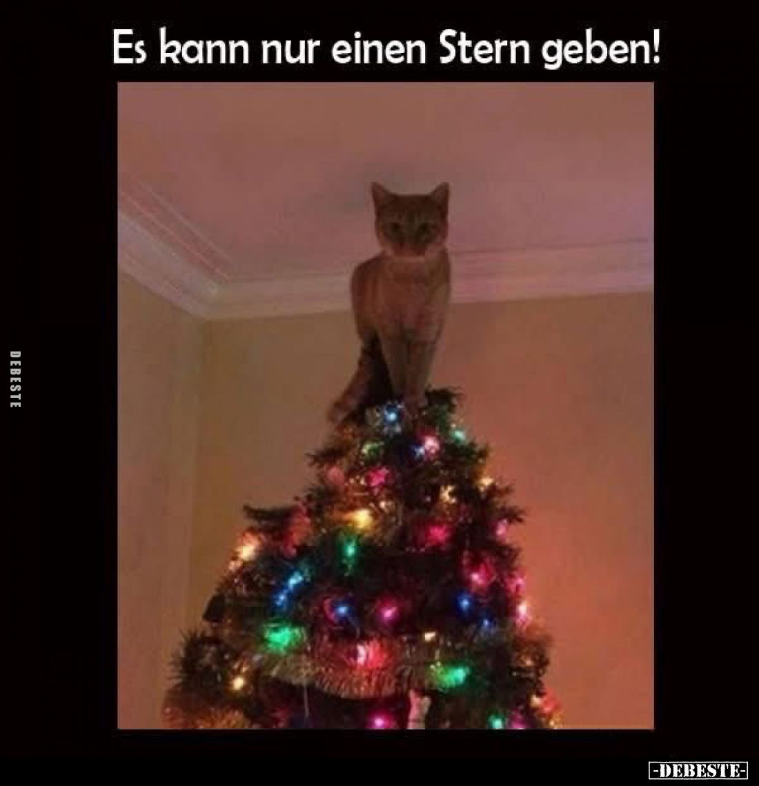 Es kann nur einen Stern geben!