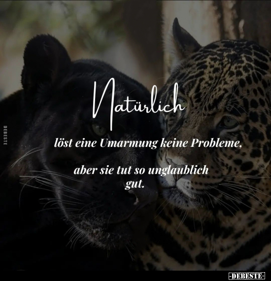 Natürlich löst eine Umarmung keine Probleme.. - Lustige Bilder | DEBESTE.de