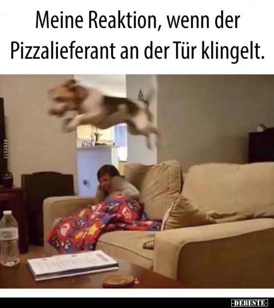 Meine Reaktion, wenn der Pizzalieferant an der Tür.. - Lustige Bilder | DEBESTE.de