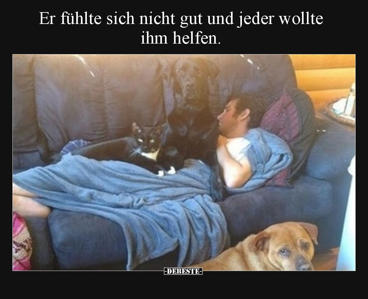 Er fühlte sich nicht gut und jeder wollte ihm helfen.