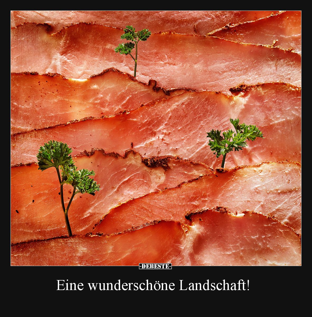 Eine wunderschöne Landschaft!.. - Lustige Bilder | DEBESTE.de