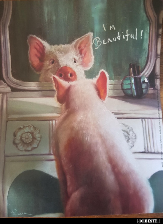  - Lustige Bilder | DEBESTE.de