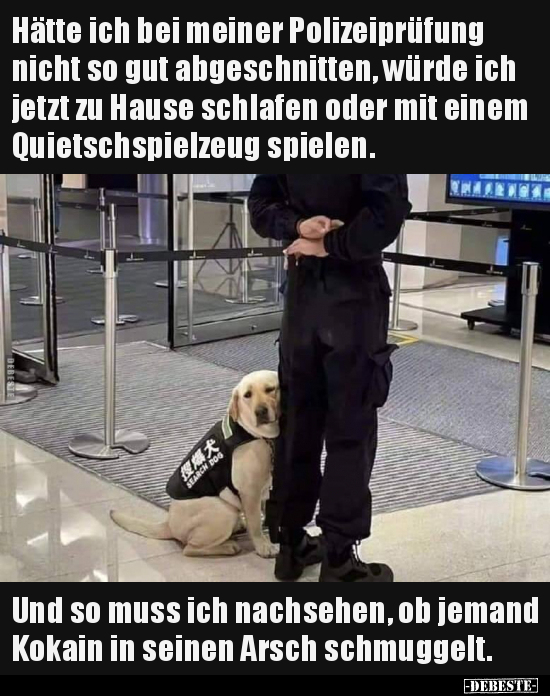 Hätte ich bei meiner Polizeiprüfung nicht so gut.. - Lustige Bilder | DEBESTE.de