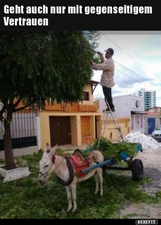 Geht auch nur mit gegenseitigem Vertrauen..