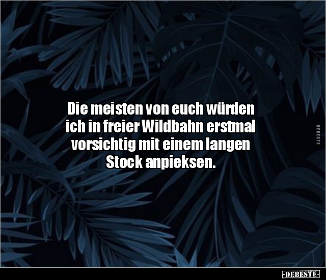 Die meisten von euch würden ich in freier Wildbahn erstmal.. - Lustige Bilder | DEBESTE.de