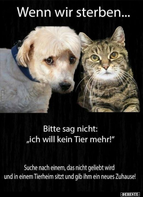 Wenn wir sterben... Bitte sag nicht: "ich will kein Tier.." - Lustige Bilder | DEBESTE.de