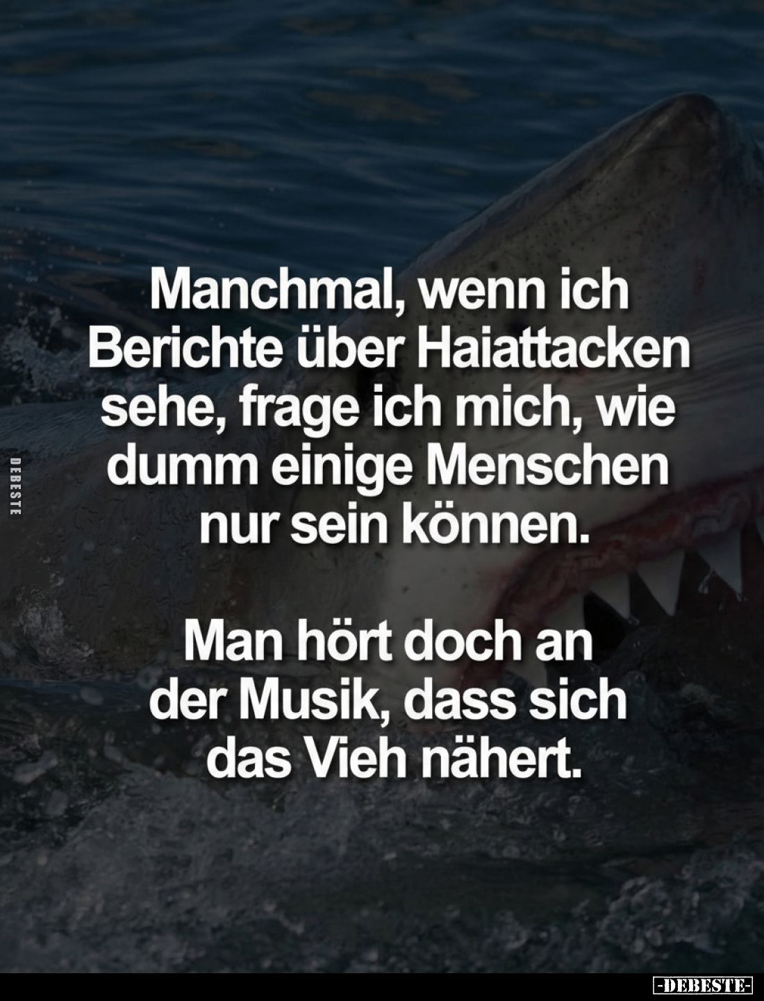 Manchmal, wenn ich Berichte über Haiattacken sehe, frage ich mich, wie dumm einige Menschen nur sein können.
Man hört doch a...