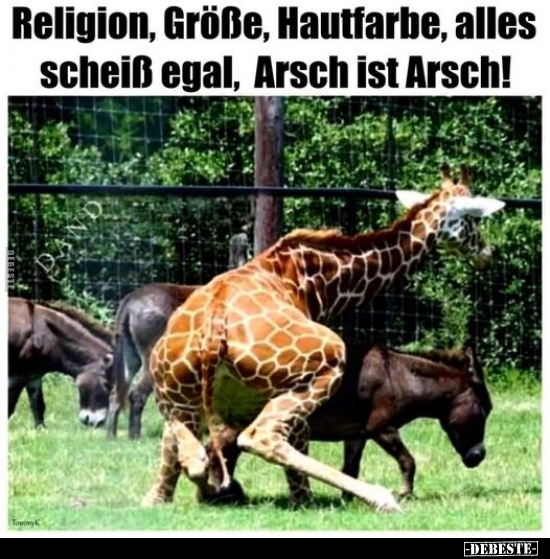 Religion, Größe, Hautfarbe, alles scheiß egal, Arsch ist.. - Lustige Bilder | DEBESTE.de