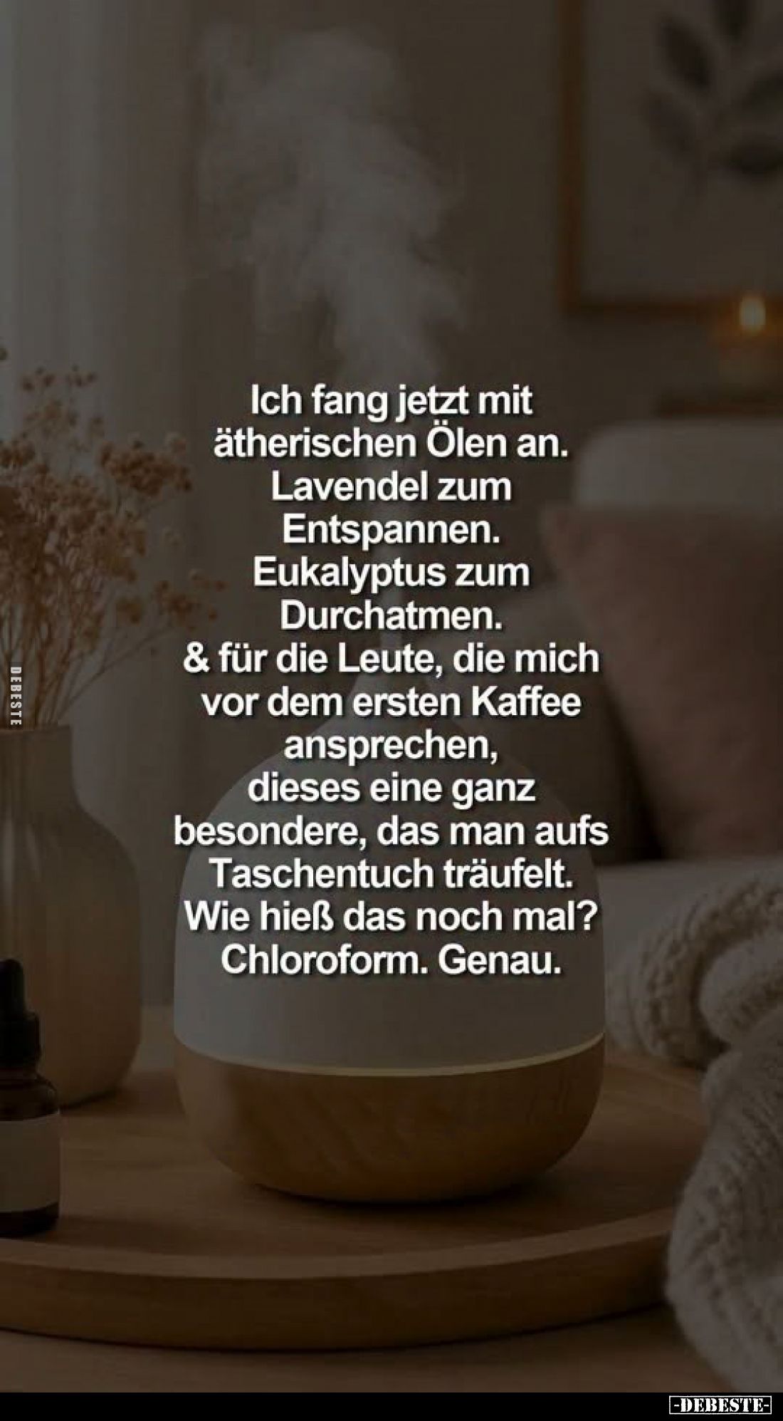 Ich fang jetzt mit ätherischen Ölen an.
Lavendel zum Entspannen. Eukalyptus zum Durchatmen. & für die Leute, die mich vo...