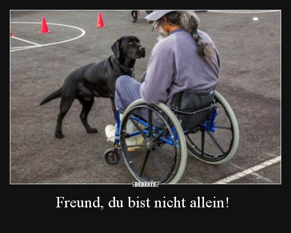 Freund, du bist nicht allein!.. - Lustige Bilder | DEBESTE.de