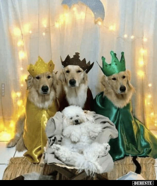  - Lustige Bilder | DEBESTE.de