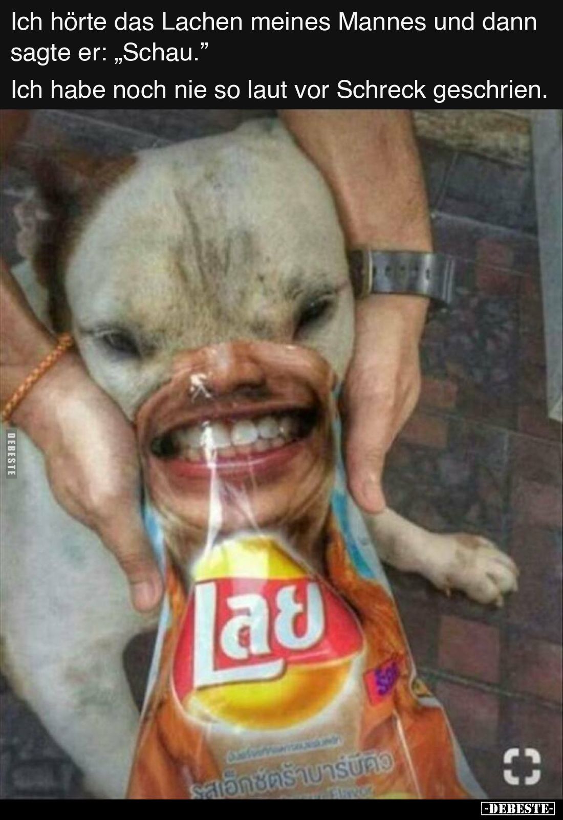 Ich hörte das Lachen meines Mannes und dann sagte er: „Schau.” 
Ich habe noch nie so laut vor Schreck geschrien.