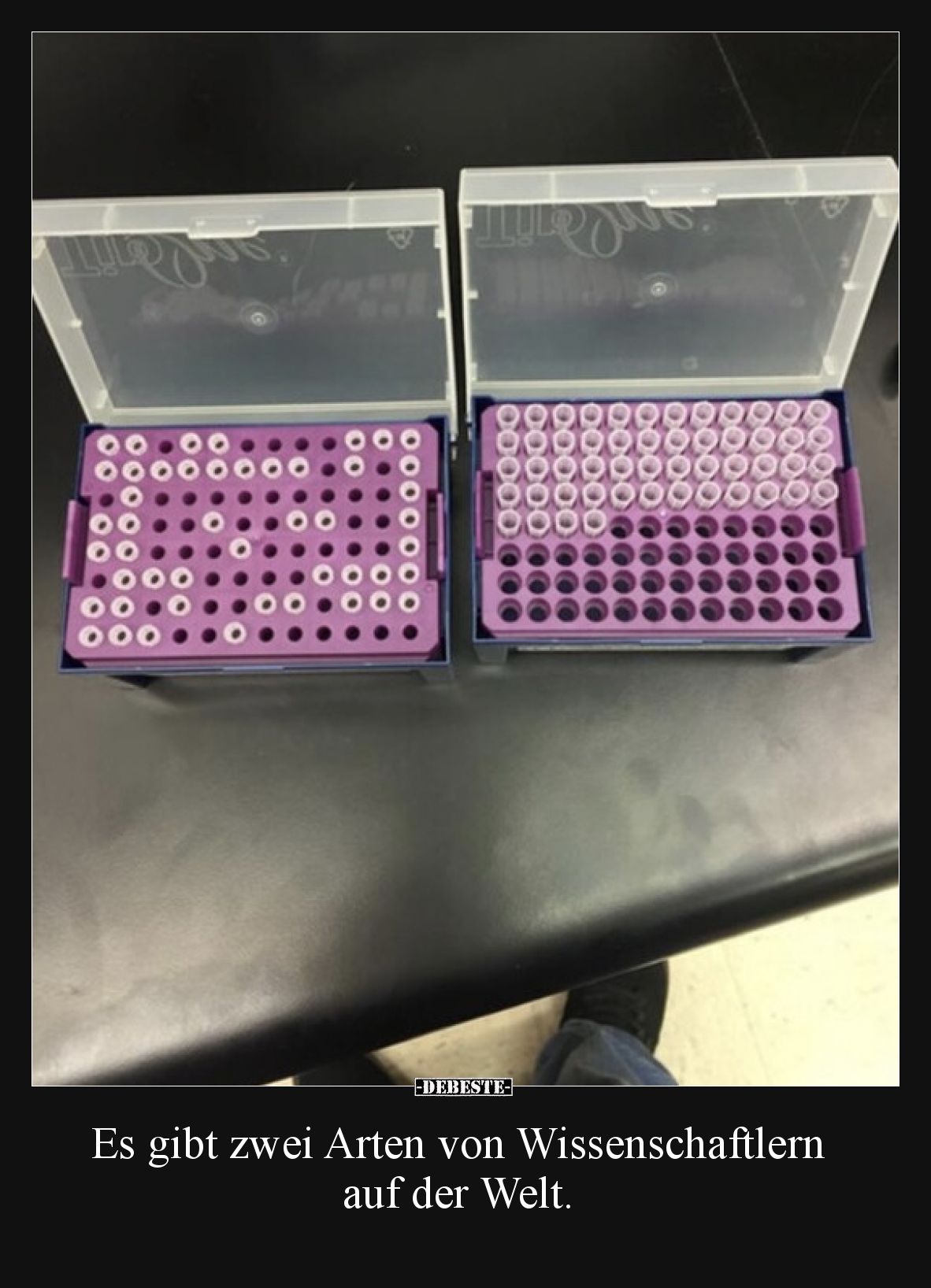 Es gibt zwei Arten von Wissenschaftlern auf der Welt.