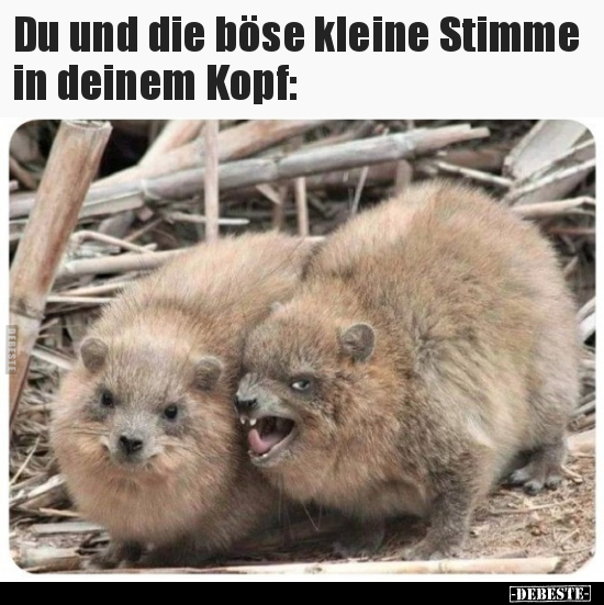 Du und die böse kleine Stimme in deinem Kopf.. - Lustige Bilder | DEBESTE.de