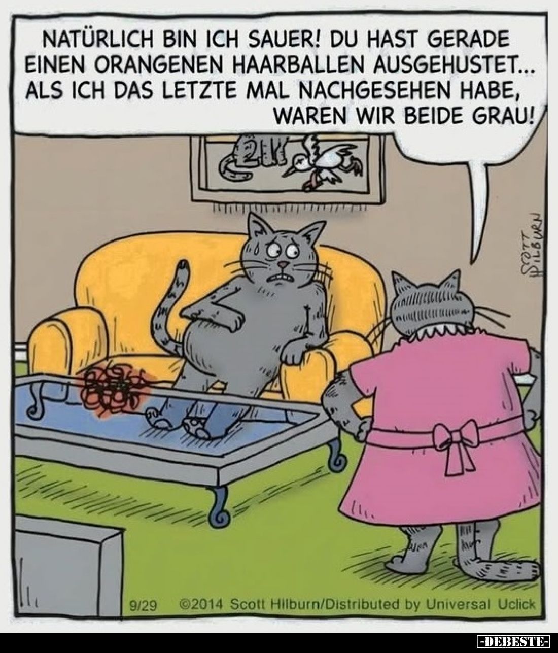 Natürlich bin ich sauer! Du hast gerade einen orangenen Haarballen ausgehustet... als ich das letzte Mal nachgesehen habe, wa...