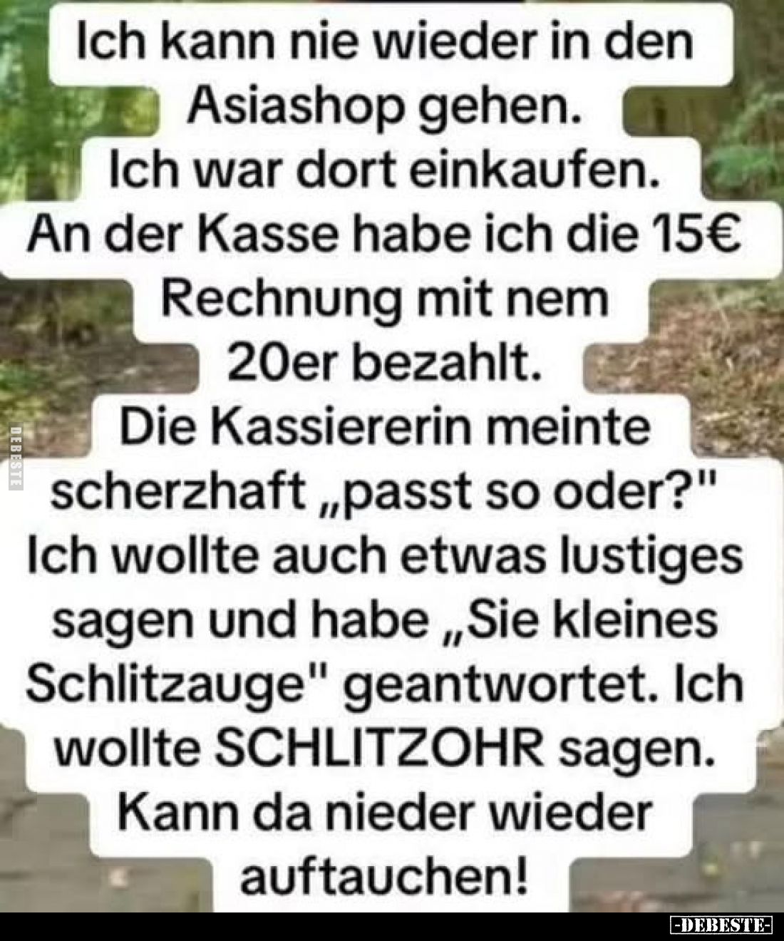 Ich kann nie wieder in den Asiashop gehen.
Ich war dort einkaufen.
An der Kasse habe ich die 15€ Rechnung mit nem 20er beza...