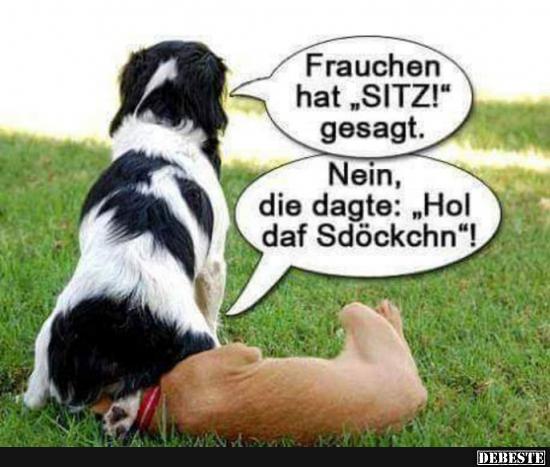 Frauchen hat 'SITZ!' gesagt..