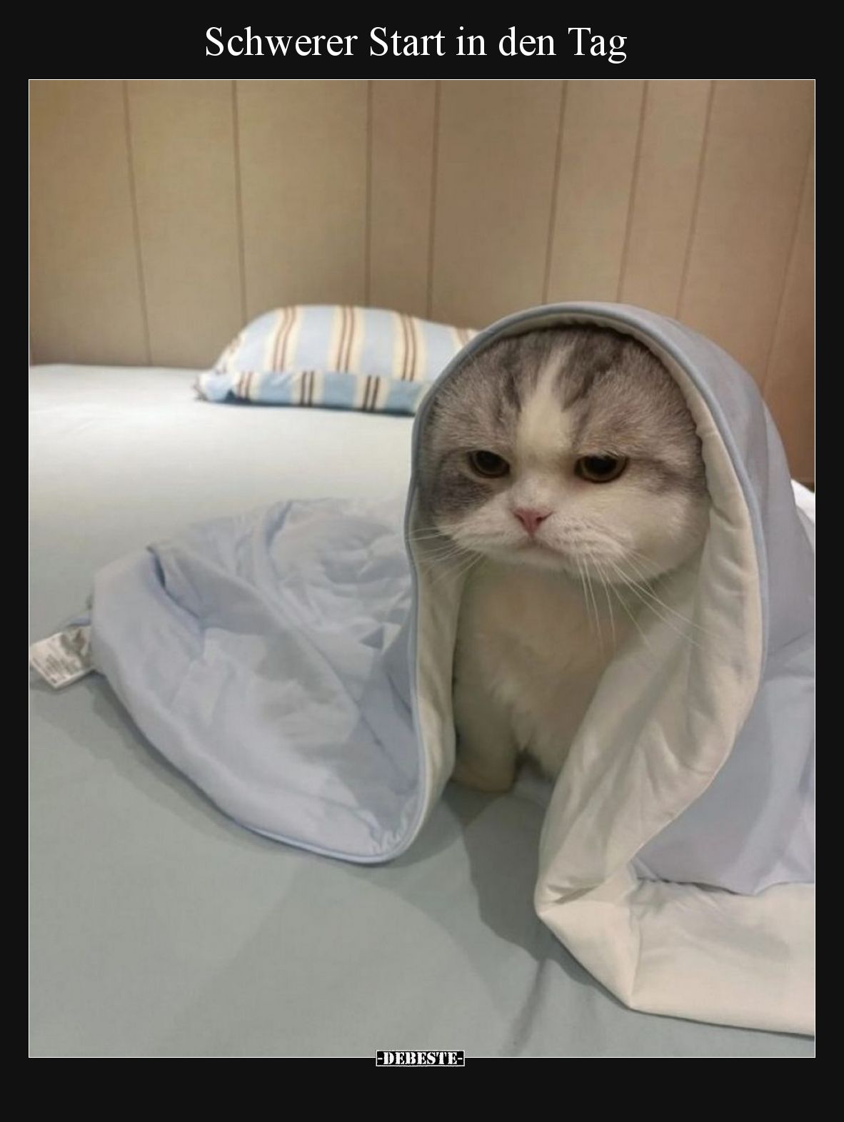 Schwerer Start in den Tag