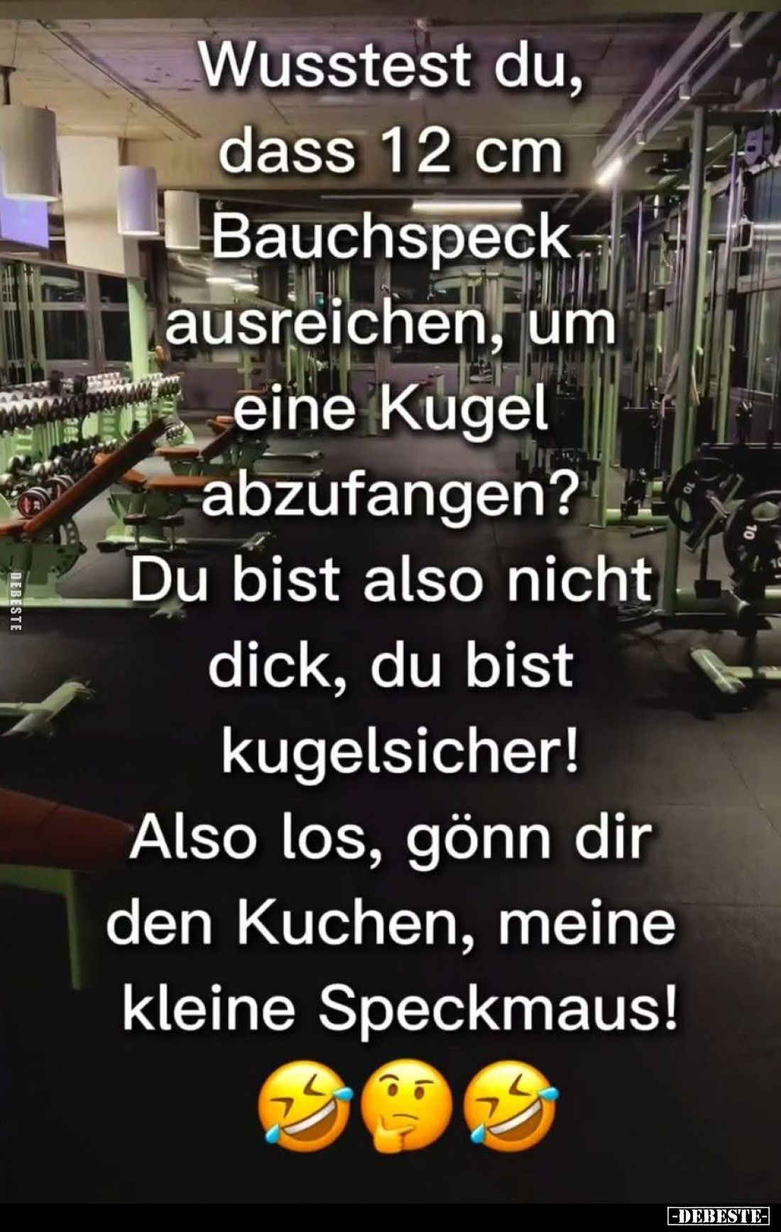 Wusstest du, dass 12 cm Bauchspeck ausreichen, um eine Kugel abzufangen?
Du bist also nicht dick, du bist kugelsicher!
Also...