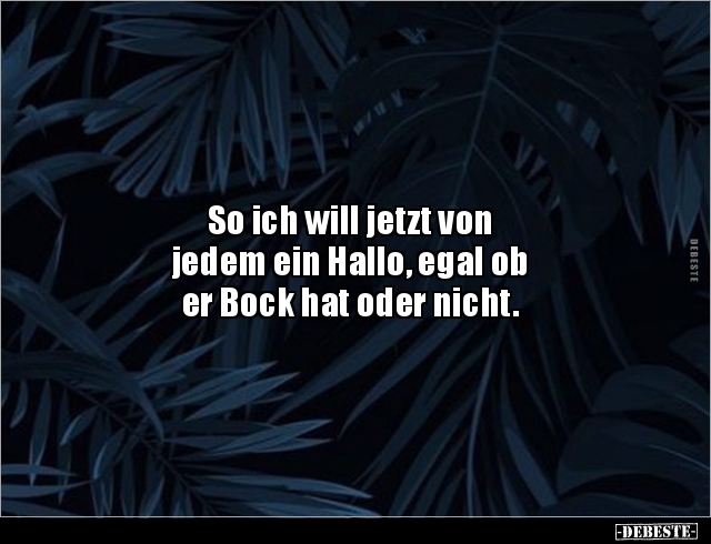 So ich will jetzt von jedem ein Hallo, egal ob er.. - Lustige Bilder | DEBESTE.de