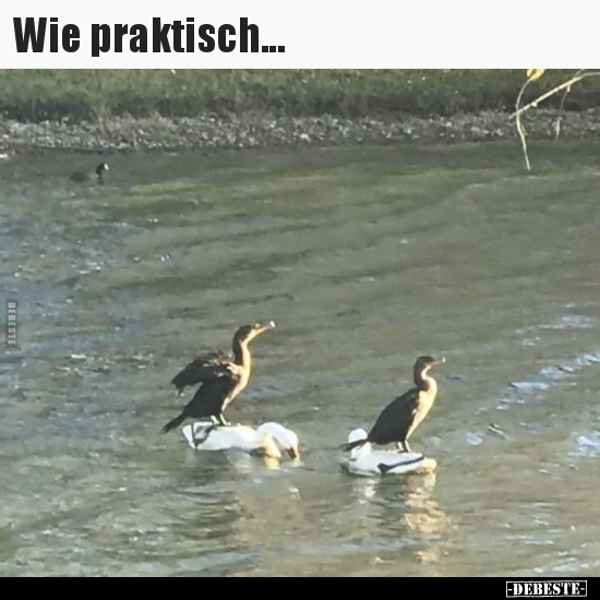 Wie praktisch...