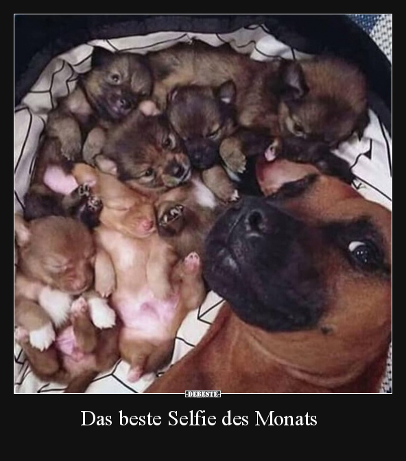 Das beste Selfie des Monats.. - Lustige Bilder | DEBESTE.de