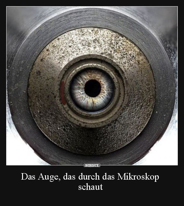 Das Auge, das durch das Mikroskop schaut.. - Lustige Bilder | DEBESTE.de