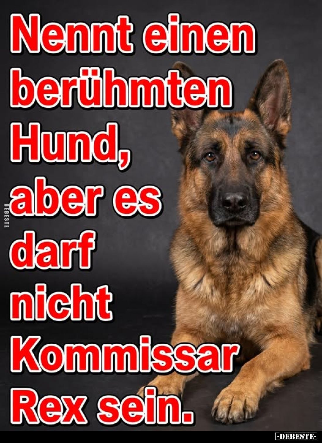 Nennt einen berühmten Hund, aber es darf nicht Kommissar Rex sein.
